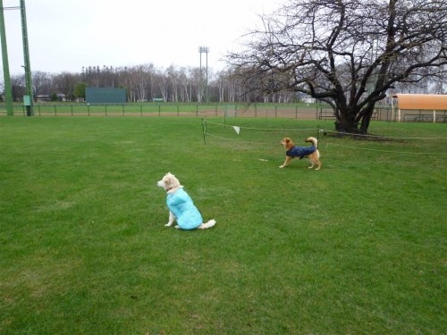 雨が降ろうと！