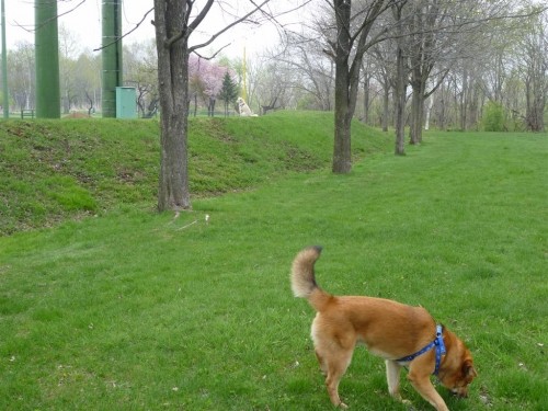 うららかな季節