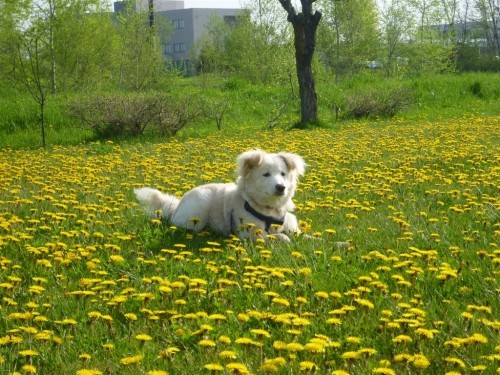 帯広川の「上で」休憩？