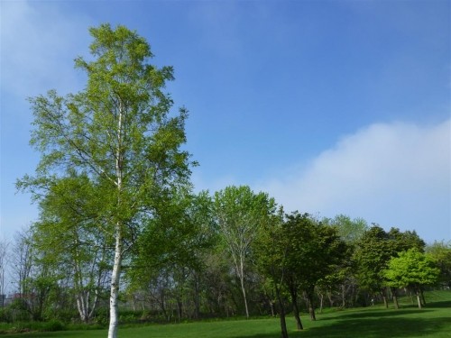 天気晴朗なれど！