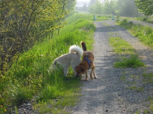 水無月（6月）8月と並んで、国民の祝日が無いです。