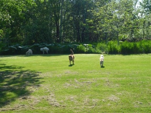 日差しが強いです！