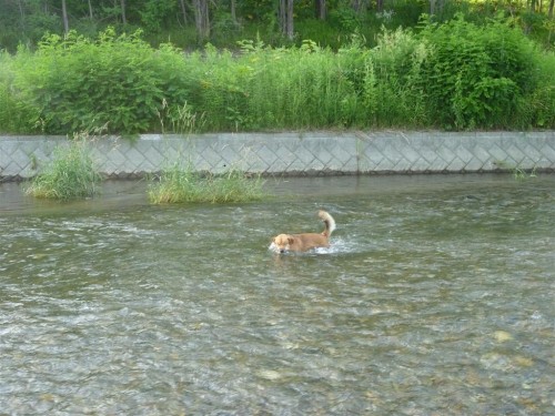 暑かったので水遊び！