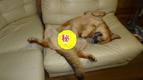 怖いもの無し！