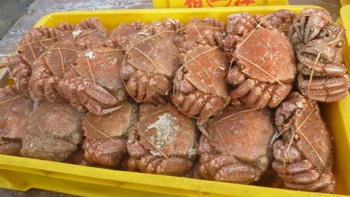 広尾 毛がに祭り!
