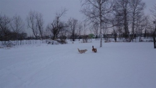 公園駆け回る～！