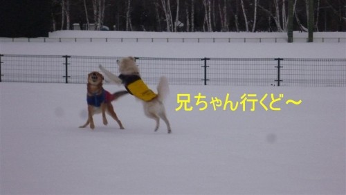 硬雪！