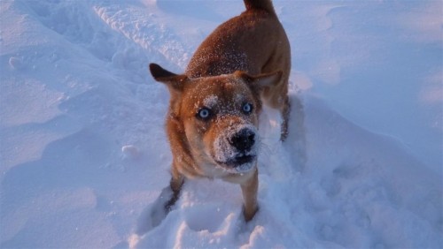 私は誰でしょう？