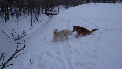 少し雪降った！