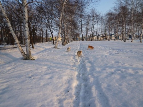 雪解け！
