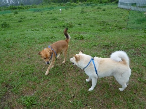 おはよう！