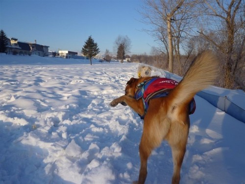 -20℃超え!