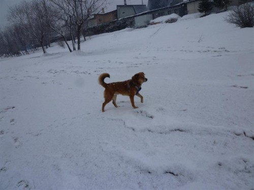 最後の雪景色!