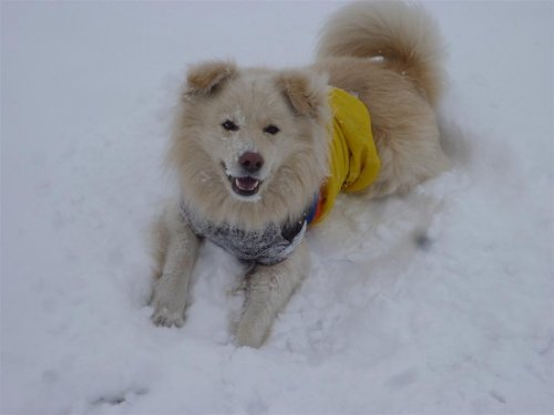 雪だよ～(^o^)丿！