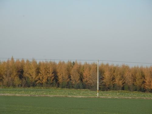 無事、東京出張から帰って来ました!