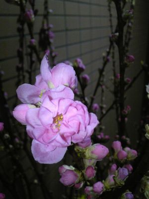 H19年度以降、ご利用がないお客様、必見!!