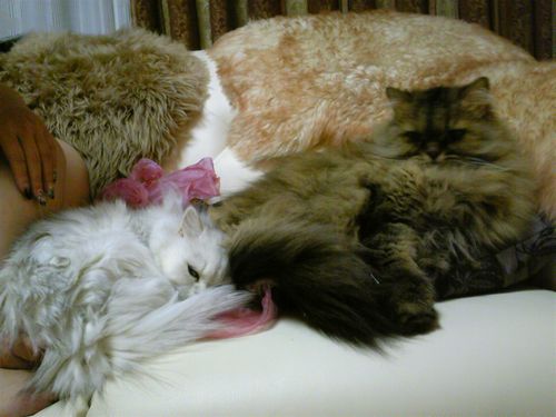 ネイル検定に向けて頑張り中！