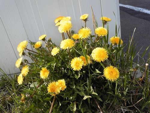 本日からOPENしています。