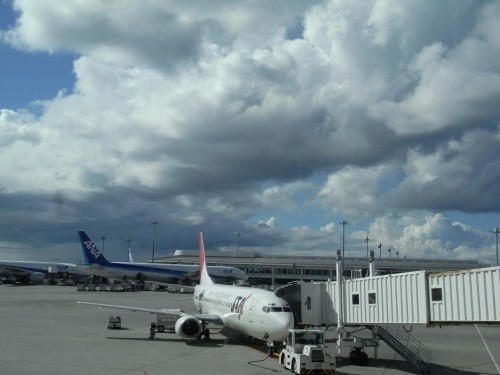 大変ご迷惑をお掛け致します。。。