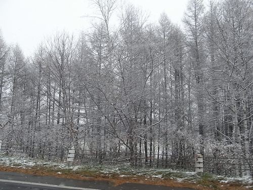今朝帰ったけど、、、ここはどこ?