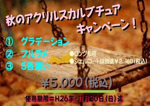 アクリルスカルプチュア、出来る事が増えてキャンペーン延長します!