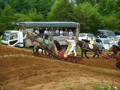 音更町東士幌で輓曳競馬大会開催予定！