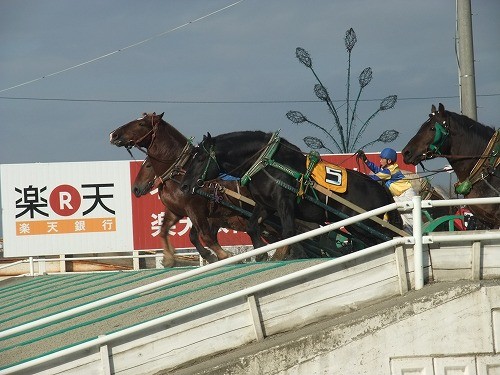 ゴゴゴ…ゴールデンバージGO!!!