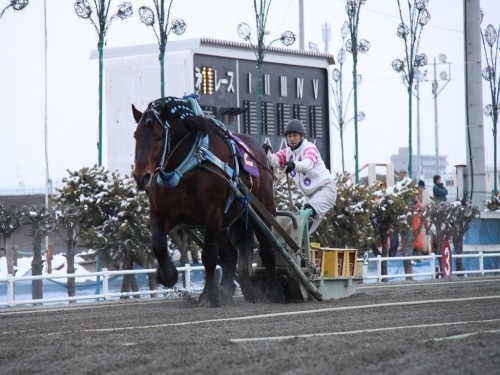 ばんえい十勝　明日よりシーズン開幕！！