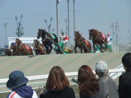 ばんえい十勝開幕!! 本日、晴天なり