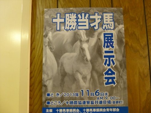 十勝当才馬展示会　開催！