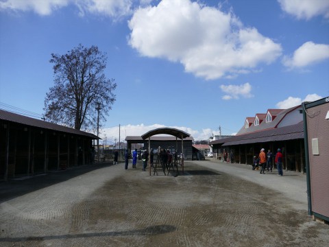 本日も「馬登録検査」