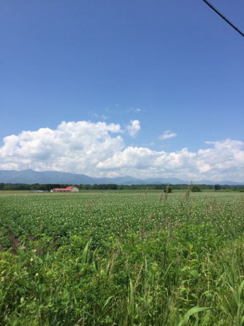 十勝の風景^^