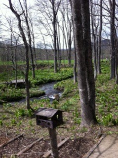 お外で簡単！ハンバーガーレシピ♪