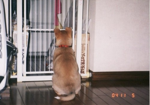 後姿・・・背中で語っています！