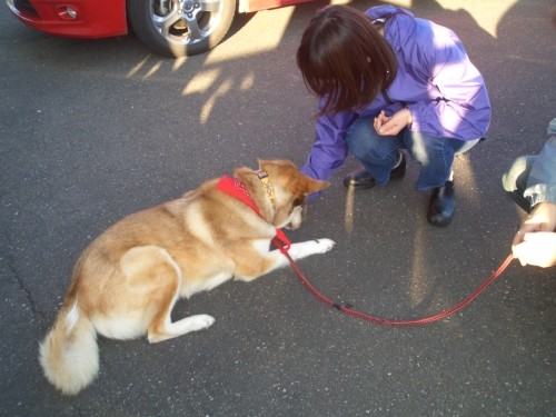 お休みなのに遊んでくれないの~