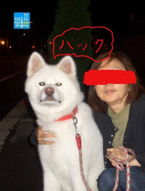 思い出の犬（こ・こ・これで６か月～でかすぎなんじゃない？）