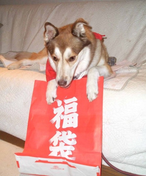 お～福袋ゲットだよ