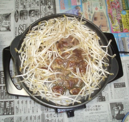 今日の夕食～ジンギスカン・・・・ハナはのけ者なんだよぉ