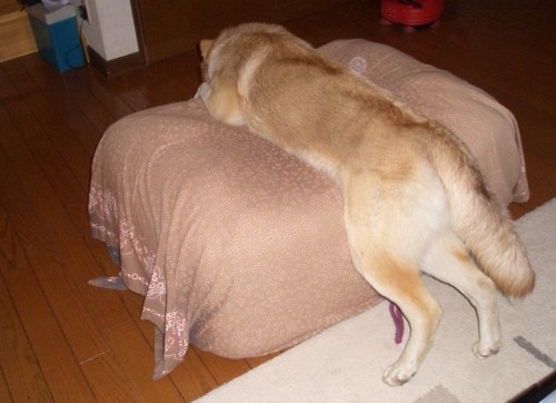 何いじけているんだか！