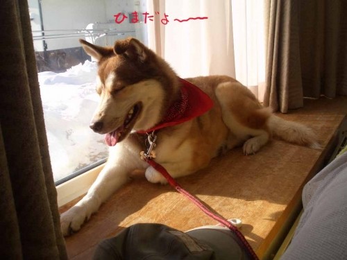 こんなに天気がいいのになぁ~