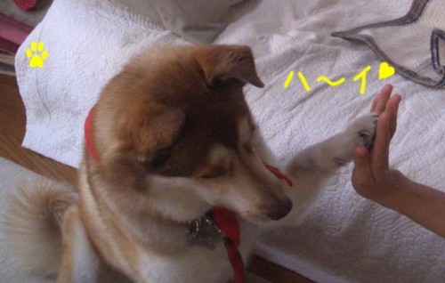 ぽかぽか春だね～今日は今日はどうかな？