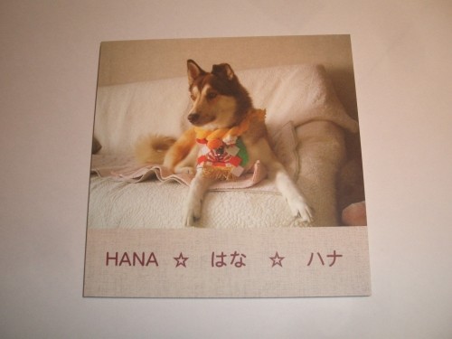 フジフィルムのフォトブック・・・・・届きました!