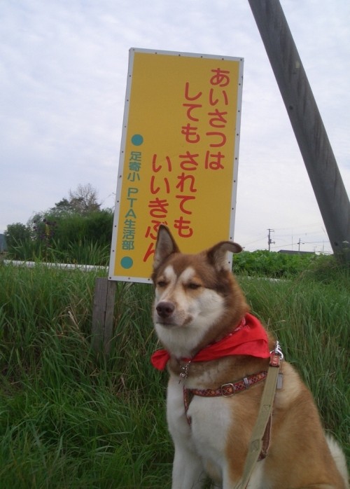 「あいさつはしてもされてもいいきぶん」・・・そのとうり!・・・byハナ