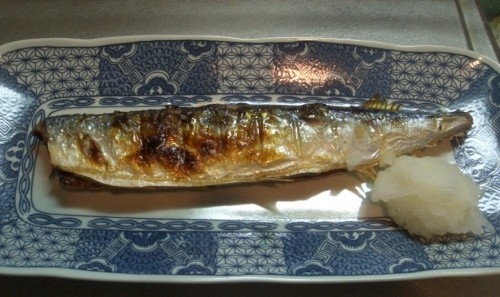今日は大漁「市場まつり」秋刀魚が５００円で１８匹～