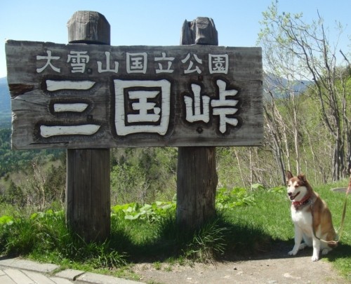 三国峠を通って剣淵町へ～ダイスケに会いに！