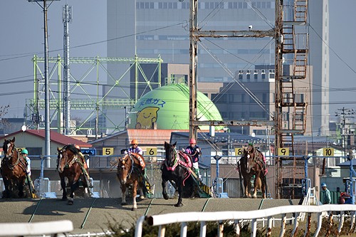 チビタ（僕の息子）とドライブ！競馬場とか十勝川温泉とか色々～♪