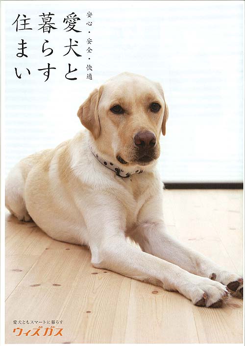 愛犬と楽しく暮らす家づくり～愛犬フェア開催します！