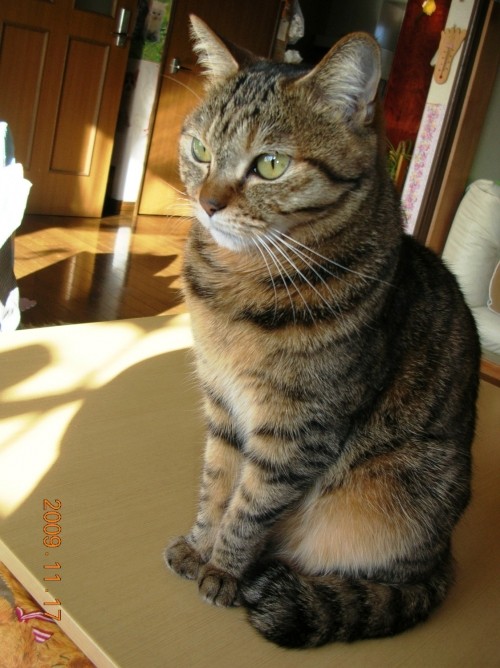 あ～・・あ。やっちまった！
