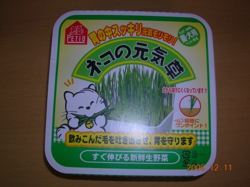 栽培します・・寒いのに・・
