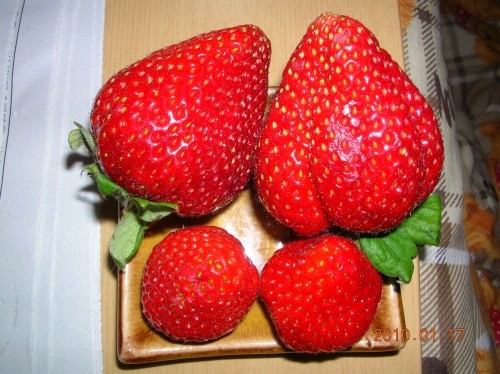 家では買えない頂き物＾＾